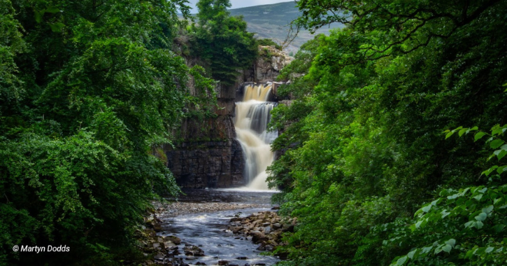 View of High Force Waterfall in the Durham Dales surrounded by lush green trees.